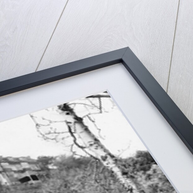 Groudle Glen, Isle of Man by George Bellett Cowen